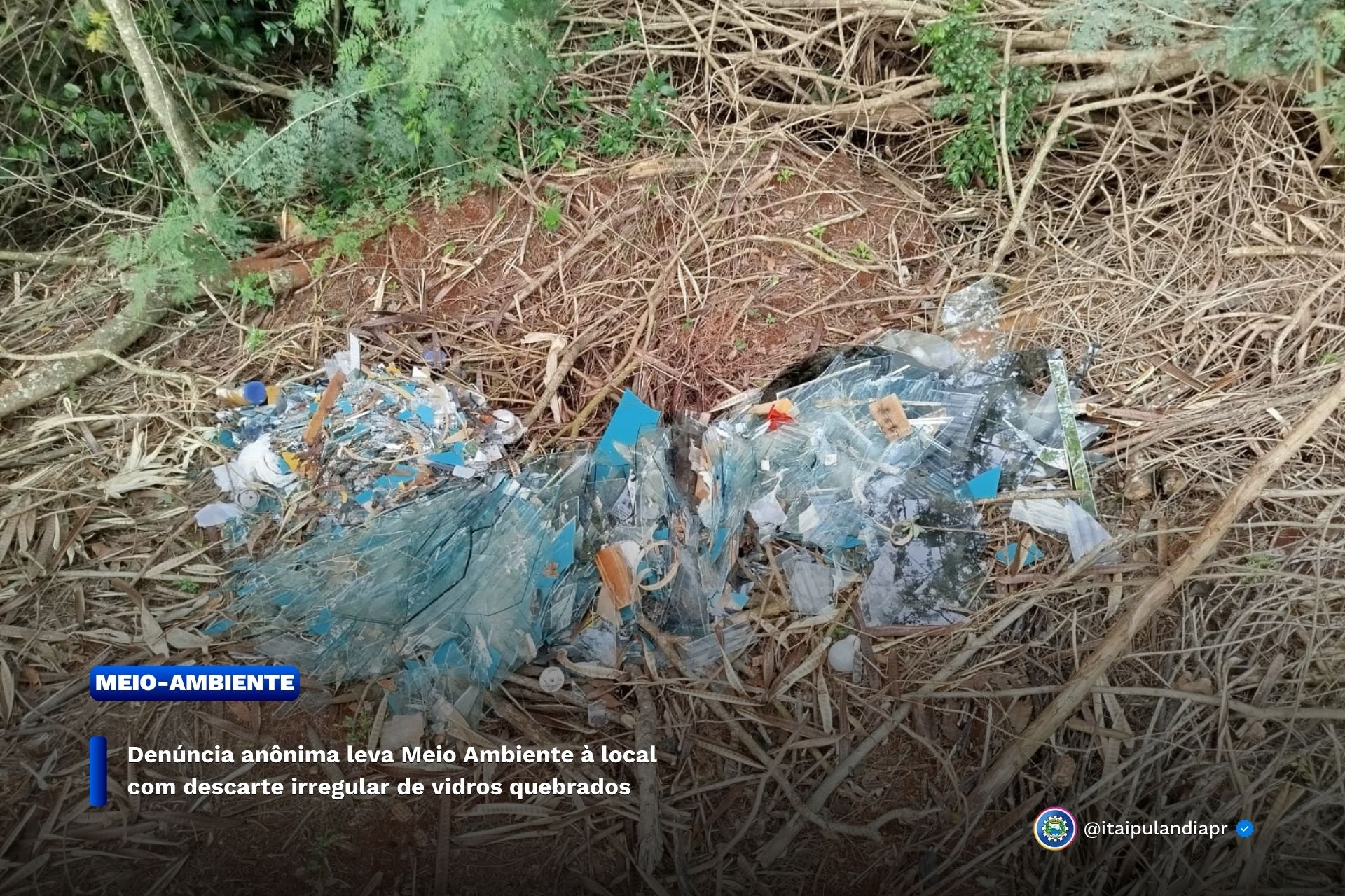 Imagem Noticia: 32c42e68b2cdff9eb7f14502ae778269.jpg