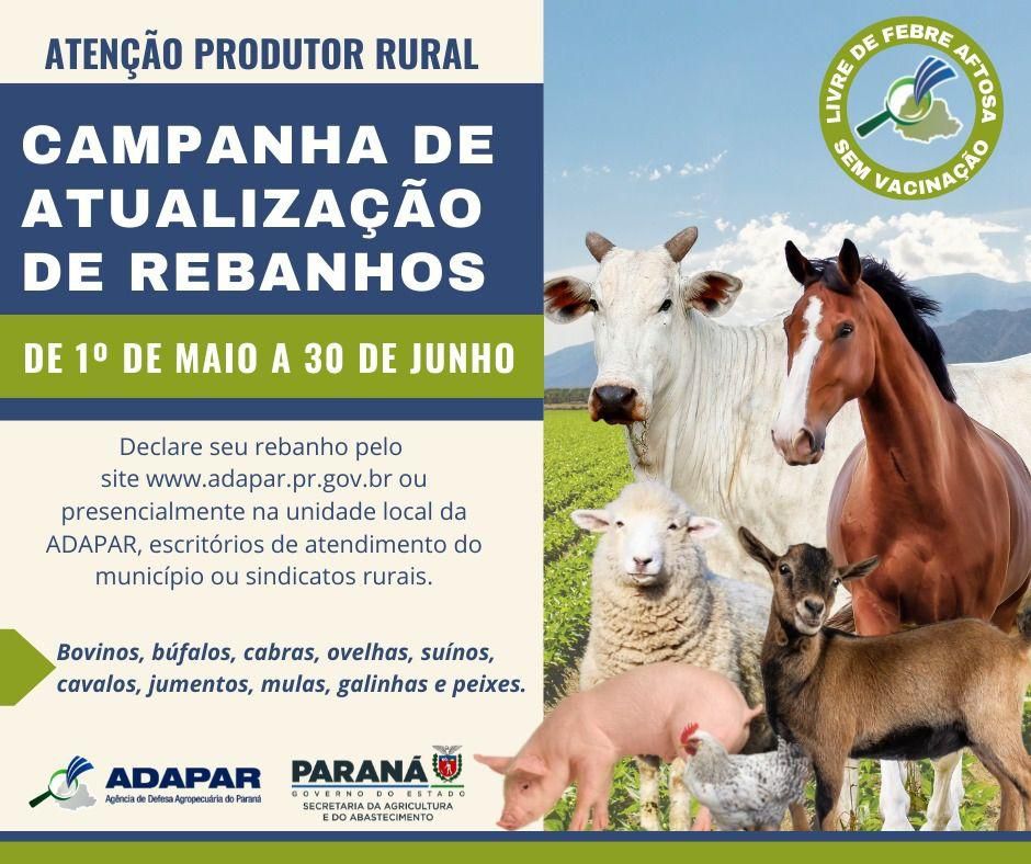 Imagem Noticia: 07871621161e09cb2363124690d8b633.jpg