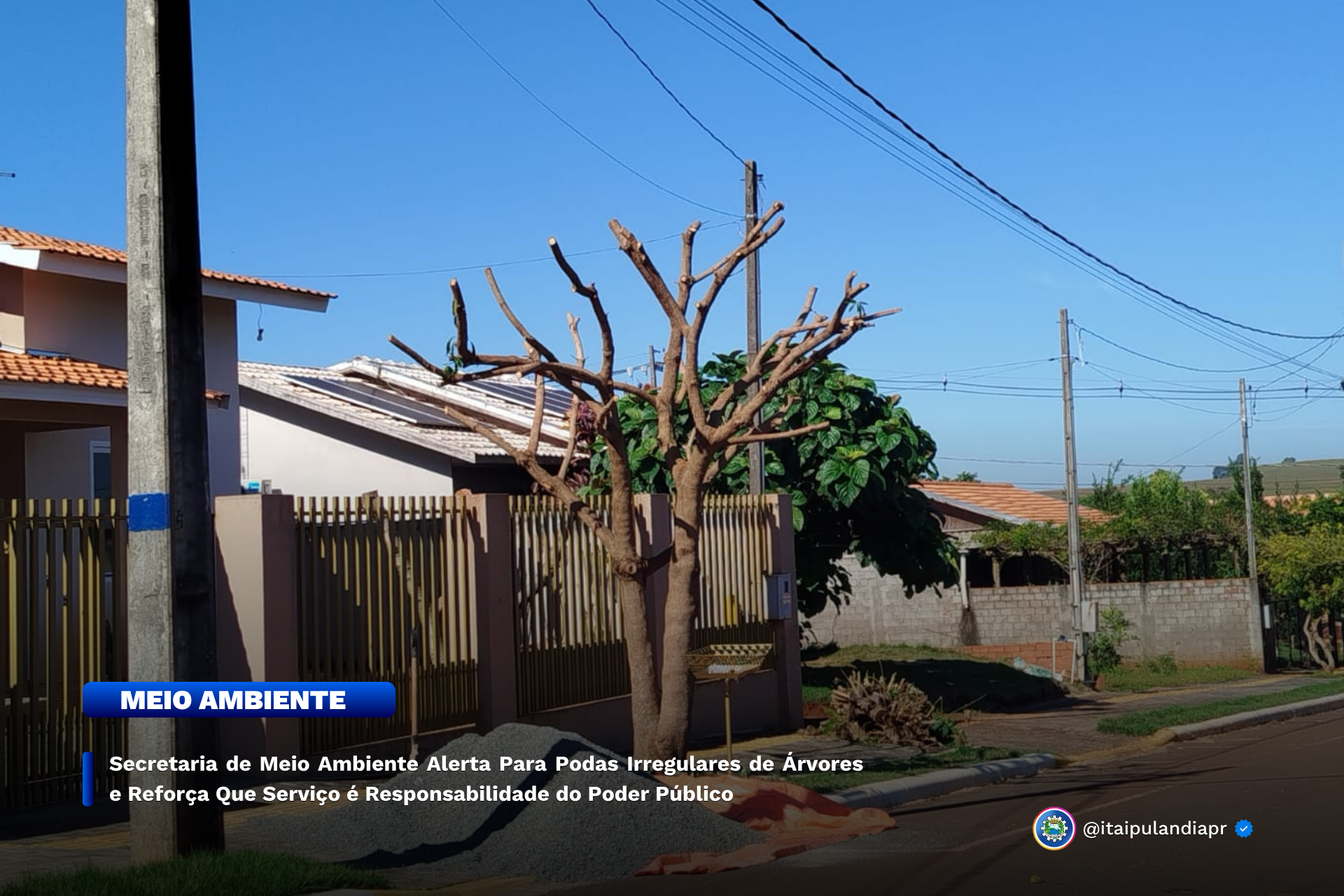 Imagem Noticia: bd117b98a197cafa217aa29b3a7b86ff.png
